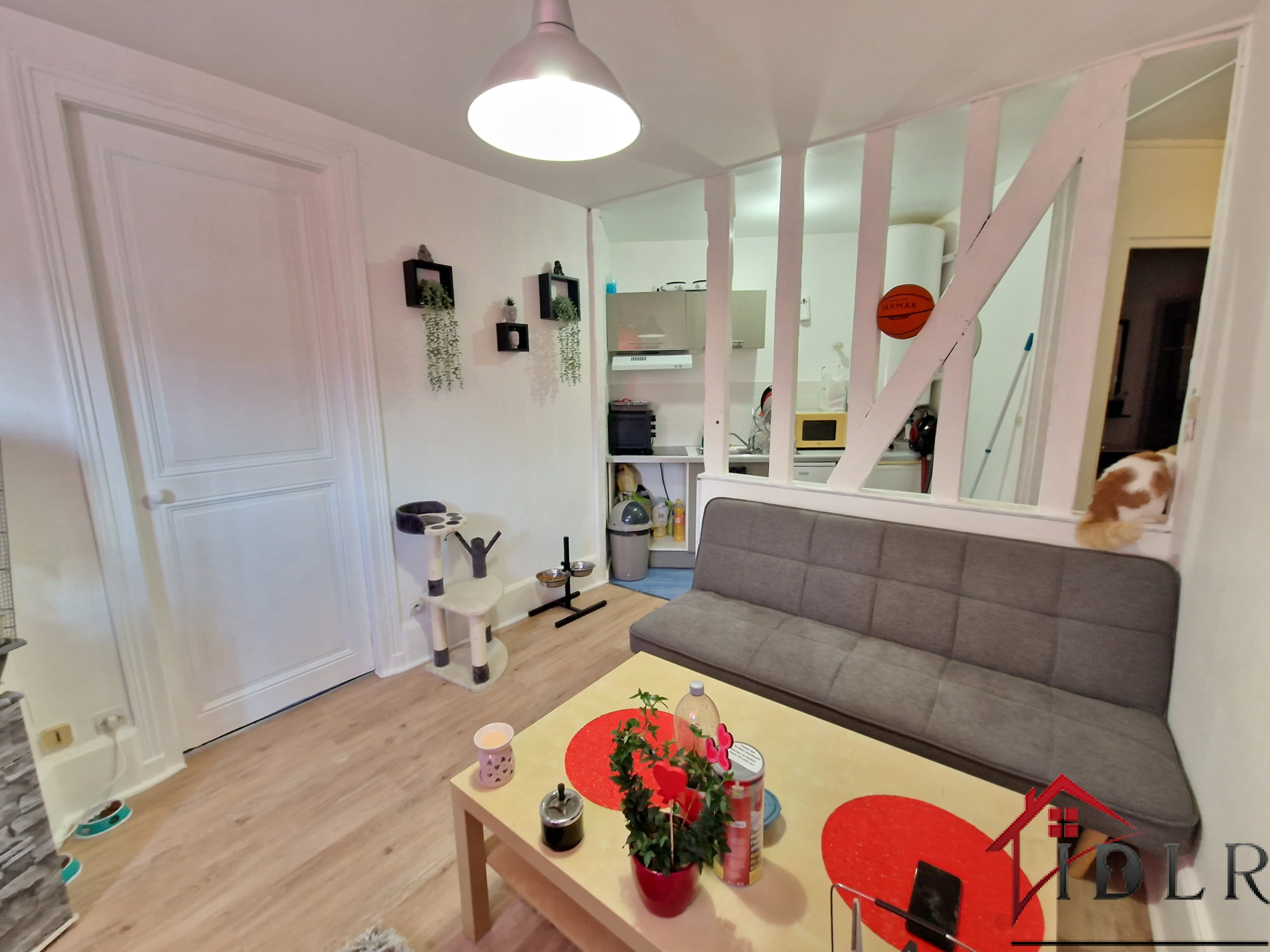 Agence immobilière de Immobilière de la république