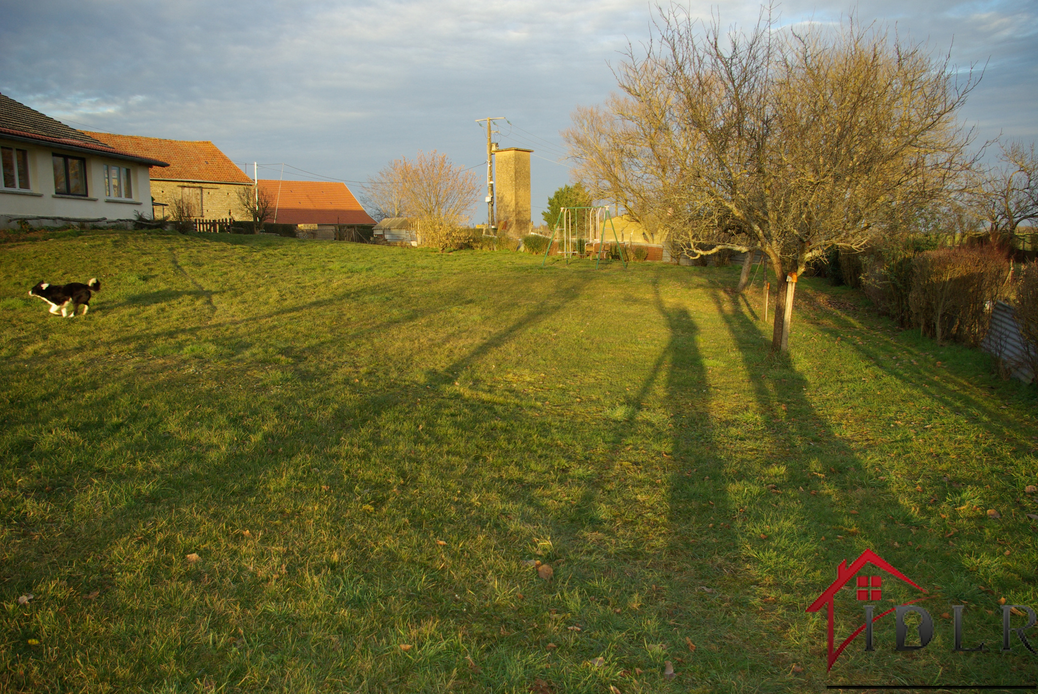 Photo 4
