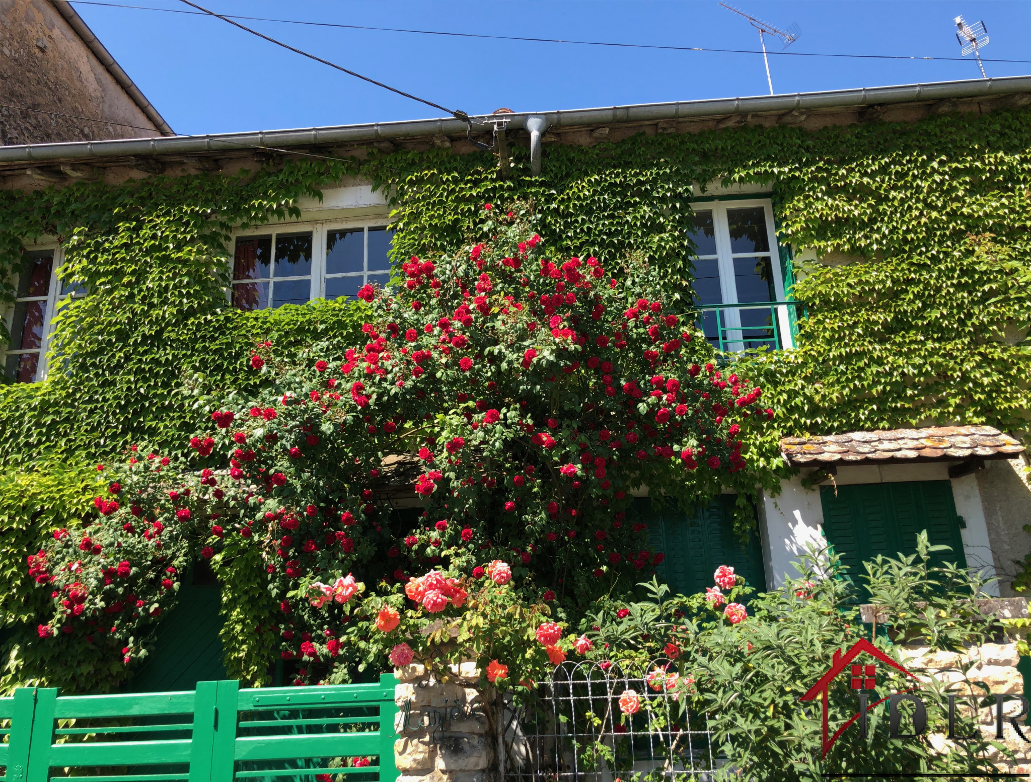 Agence immobilière de Immobilière de la république