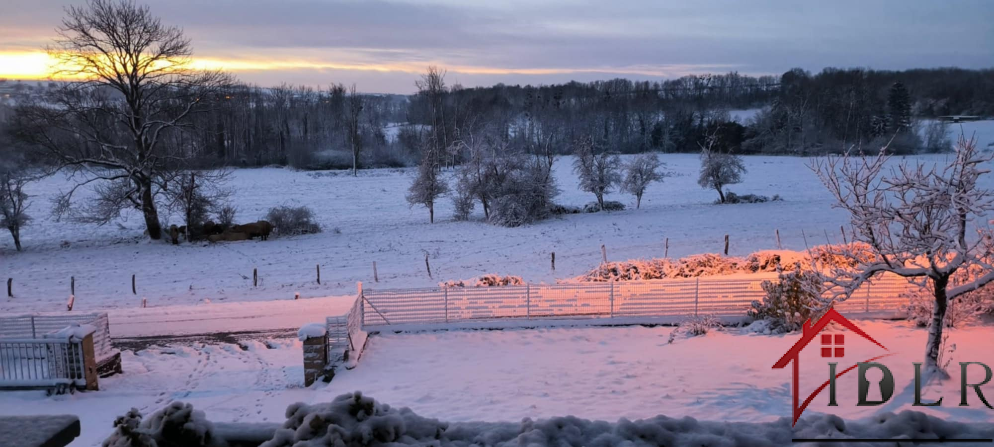 Agence immobilière de Immobilière de la république