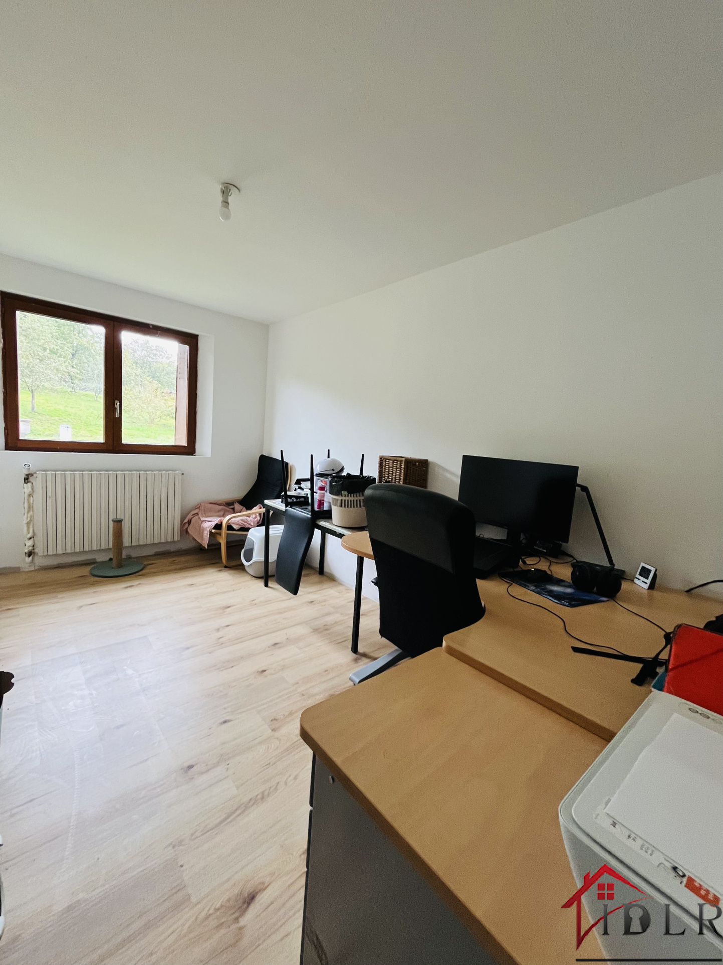 Photo 5